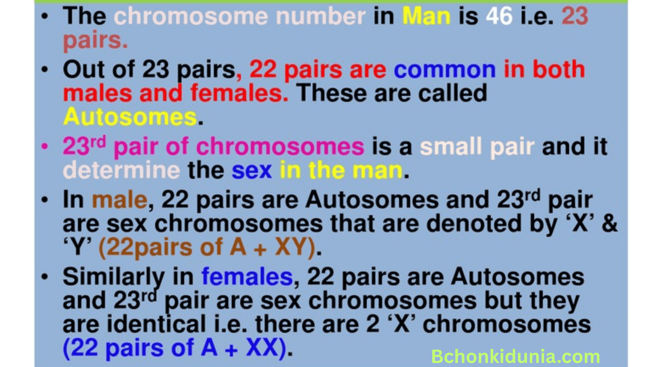 the maleness of a child is determined by